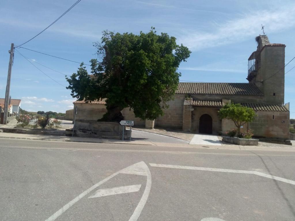 Pension El Abuelo Carbellino Exteriör bild