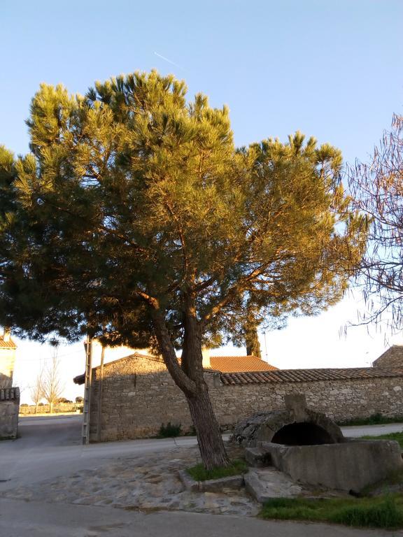 Pension El Abuelo Carbellino Exteriör bild
