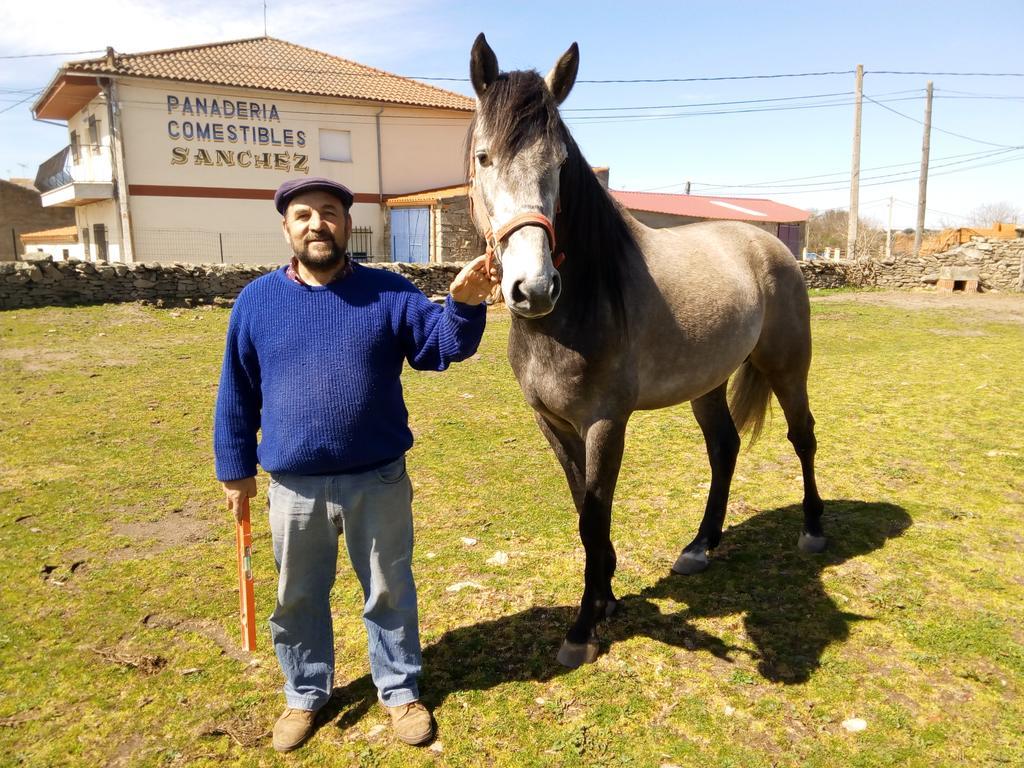 Pension El Abuelo Carbellino Exteriör bild